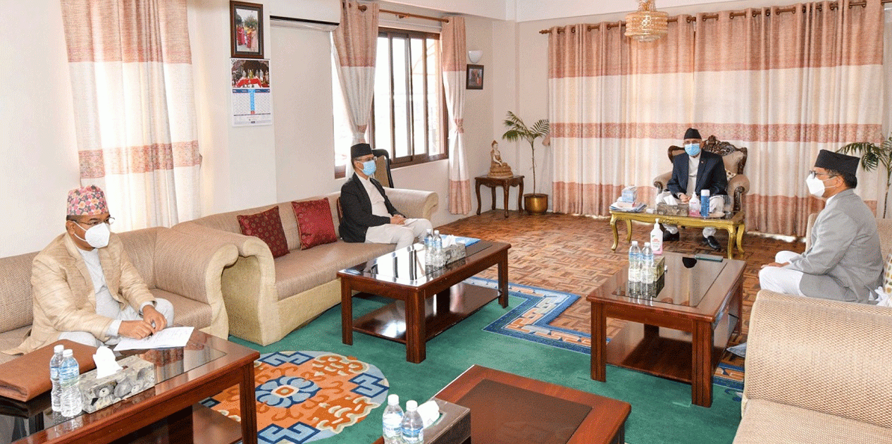 संवैधानिक परिषदमा २० जनाको नाम सिफारिस