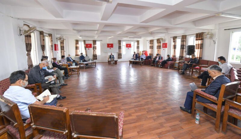 एमालेको ९ विभाग गठन