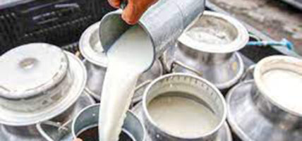 कोरोनाले डिडिसि घाटामा,२० करोड ऋण लिएर किसानको दुधको भुक्तानी
